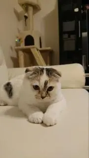 イービル わたなべの画像