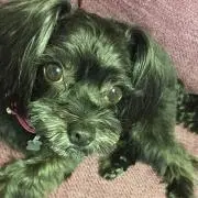 あつ