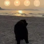 Yさんの画像