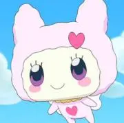 ぽんの画像