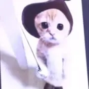 ylnvzの画像