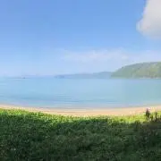 サマー0423の画像