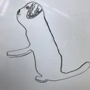ぱぷりかの画像