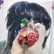 ダオティサンの画像