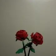 ケンケンパの画像