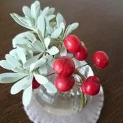 akemiの画像
