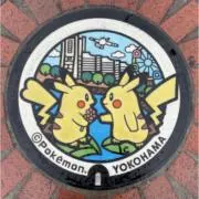 からしの画像