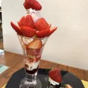 ちびぐまの画像