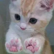 真衣