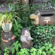 おかぴー※プロフ必読お願いします。の画像