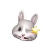 yの画像