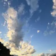 るるの画像