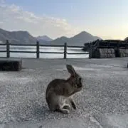ソフィア