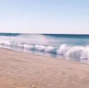 Riiの画像