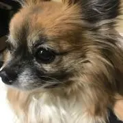 まる