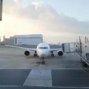 みみりん