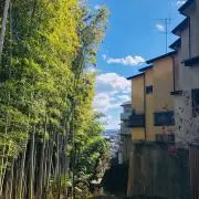 ねこさん