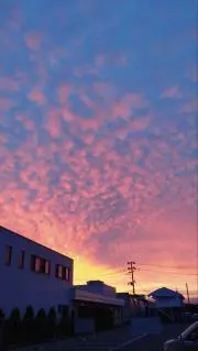 ヤス日和の画像