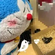 Mちゃん☆自己紹介閲覧お願いしますの画像