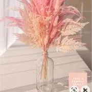 みかんチャン('ε'*)