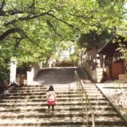 Image of Knkn