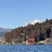 はるか（匿名配送）の画像