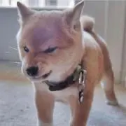 あん︎☺︎