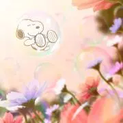 kimikoの画像