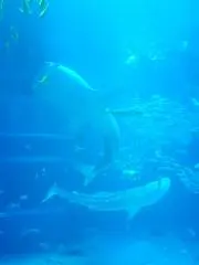 え。の画像