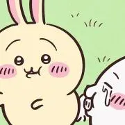 この画像