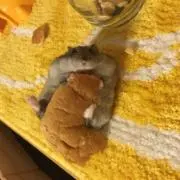 ミィ