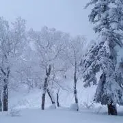 ヘリ蔵