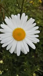 eikiの画像