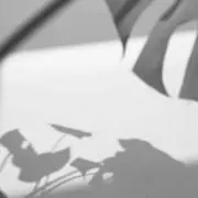 KOKIAの画像