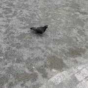 なつ