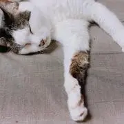 み