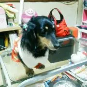 なんでも屋