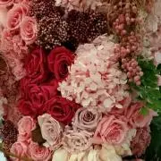 断捨離中 よしの画像