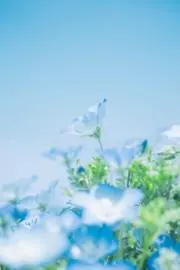 アイ☆値下げ交渉受け付けます☆の画像