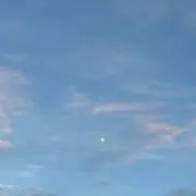 ヲレの画像