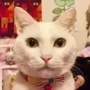 mommomの画像