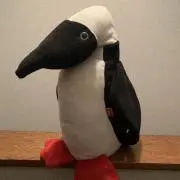 小鳥遊の画像