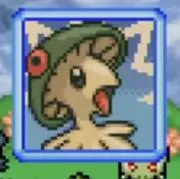 きびなごの画像