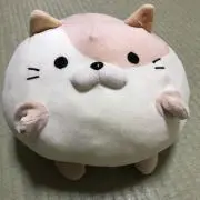 咲良の画像