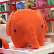 どむさんの画像