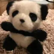 よしこʕ•ᴥ•ʔの画像