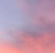 ぱんだの画像