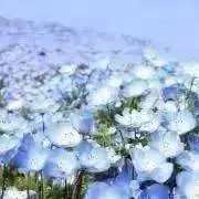花村の画像