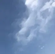 みる