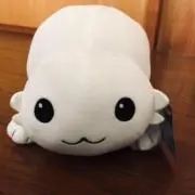 ま〜さんの画像